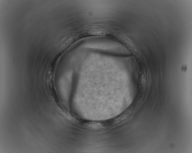 X0000090880322200708241946