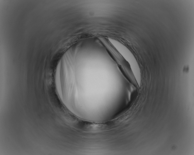 X0000090880323200708241946