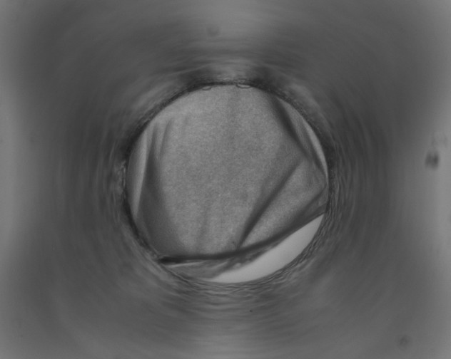 X0000090880325200708241946