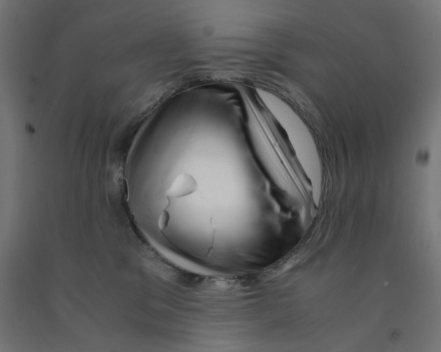 X0000090880329200708241945