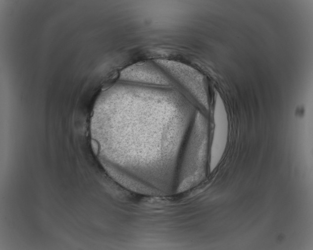 X0000090880331200708241945