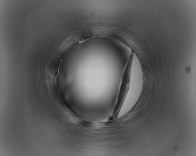 X0000090880333200708241945