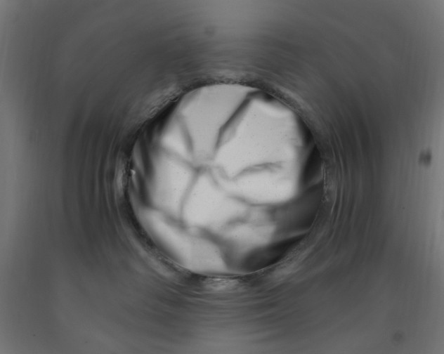 X0000090880334200708241945