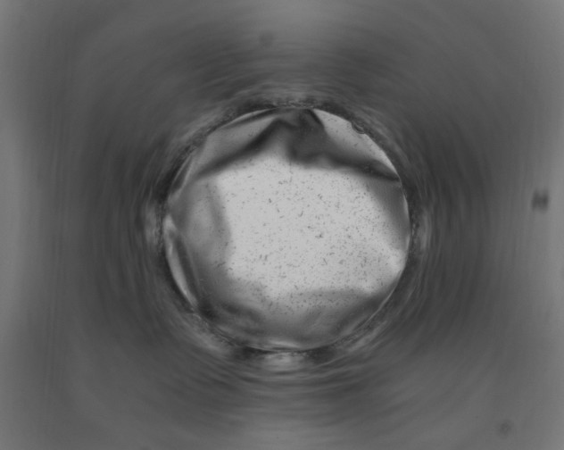 X0000090880335200708241945