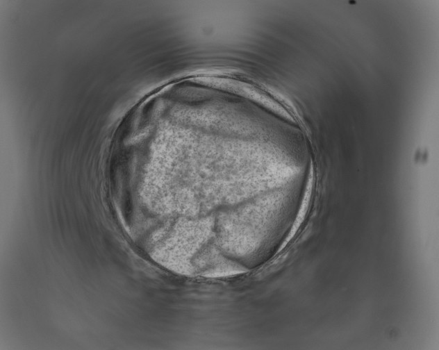 X0000090880337200708241945