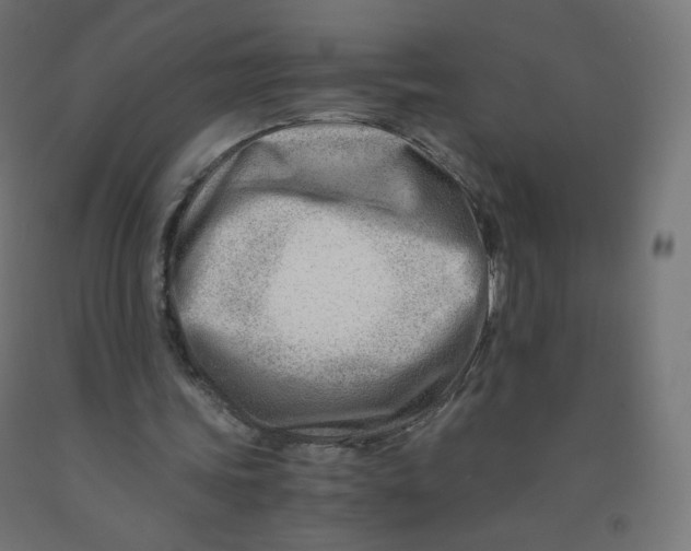 X0000090880339200708241945