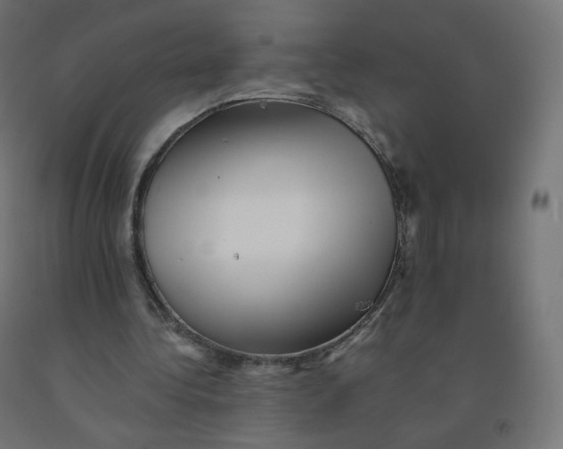 X0000090880340200708241945