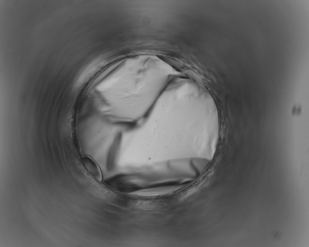 X0000090880341200708241945