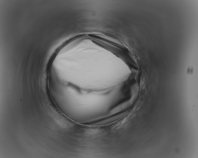 X0000090880342200708241945