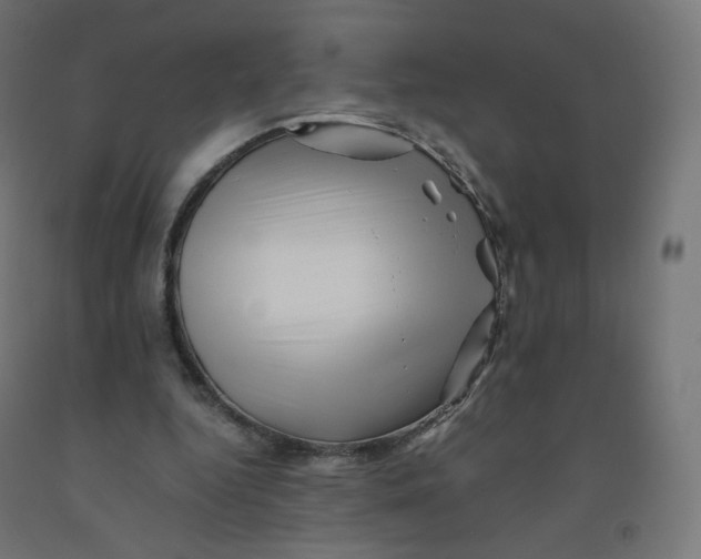 X0000090880344200708241945