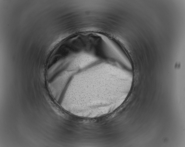 X0000090880345200708241945