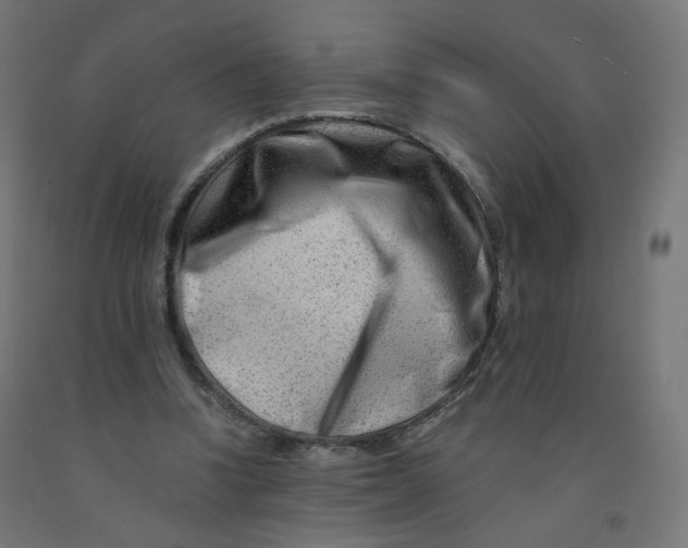 X0000090880346200708241945