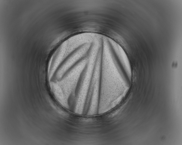 X0000090880349200708241945