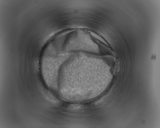 X0000090880351200708241945