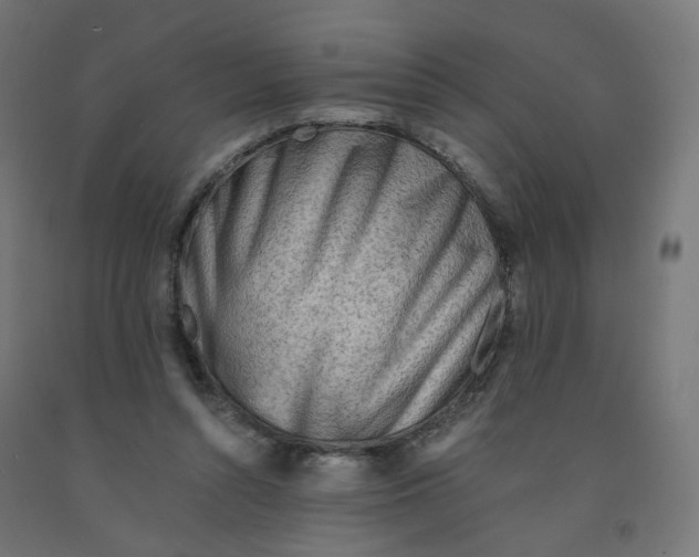 X0000090880352200708241945