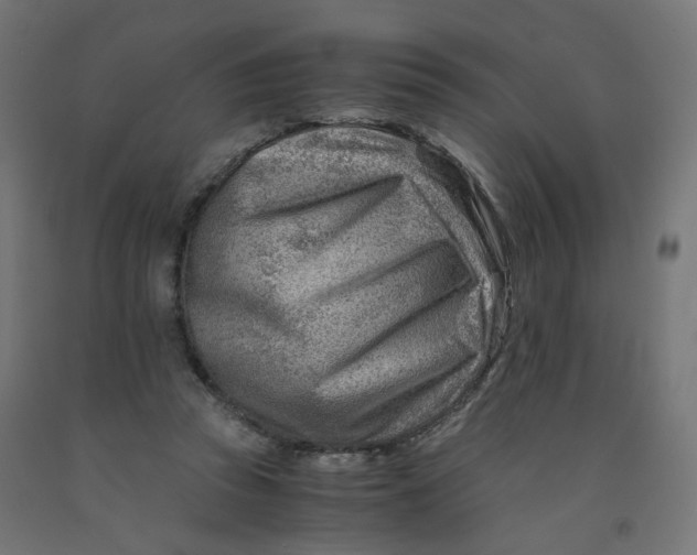 X0000090880353200708241945