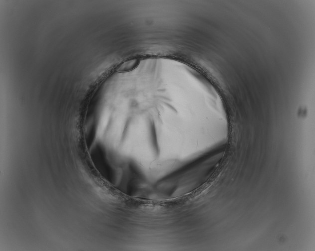 X0000090880354200708241945