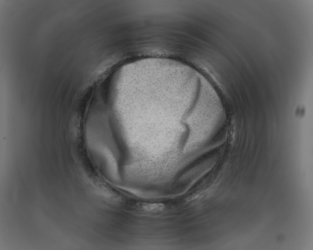 X0000090880355200708241945