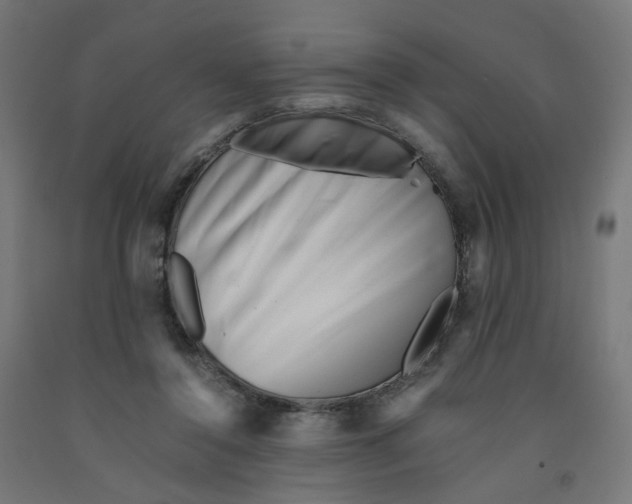 X0000090880356200708241945