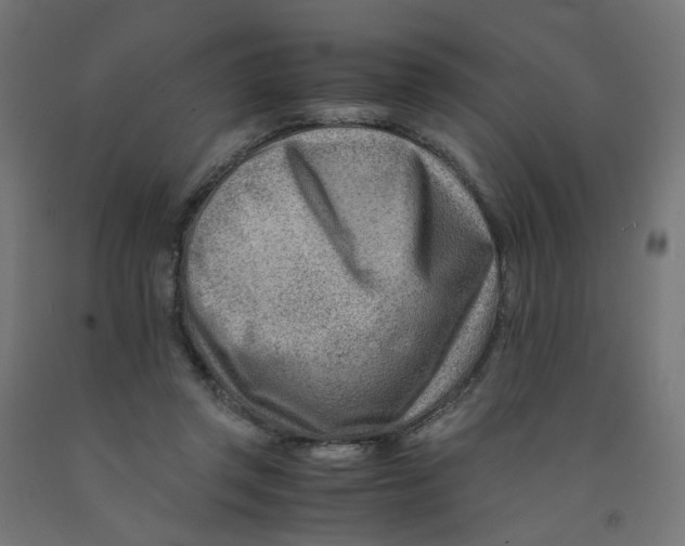 X0000090880357200708241945