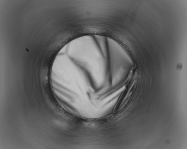 X0000090880358200708241945