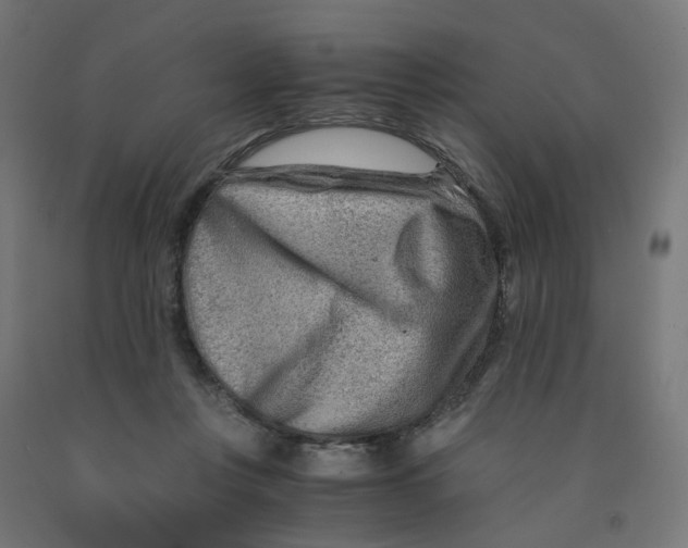 X0000090880359200708241945