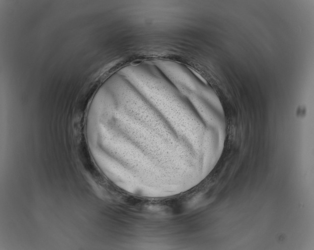 X0000090880360200708241945