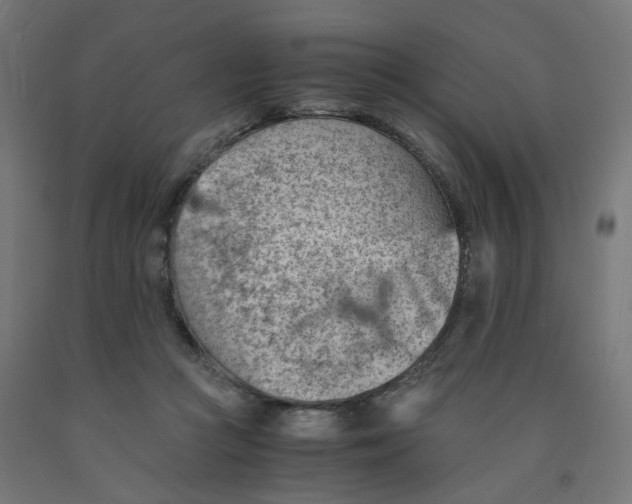 X0000090880361200708241945