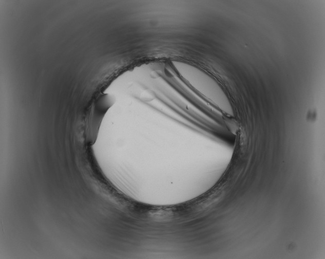 X0000090880362200708241945