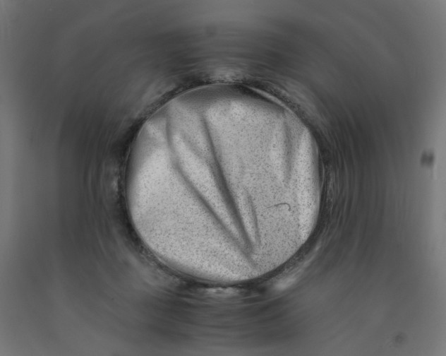 X0000090880363200708241945