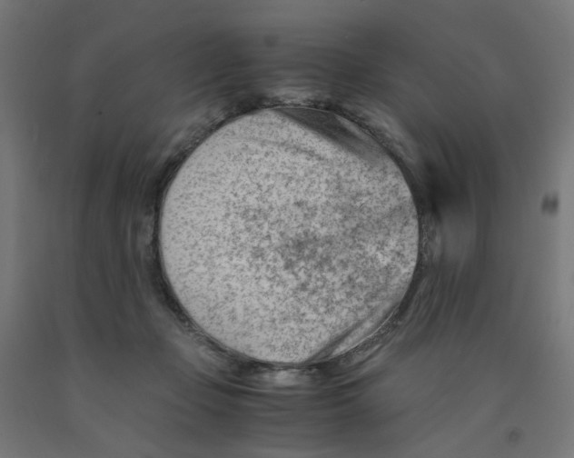 X0000090880365200708241945