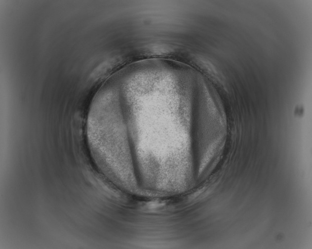 X0000090880366200708241945