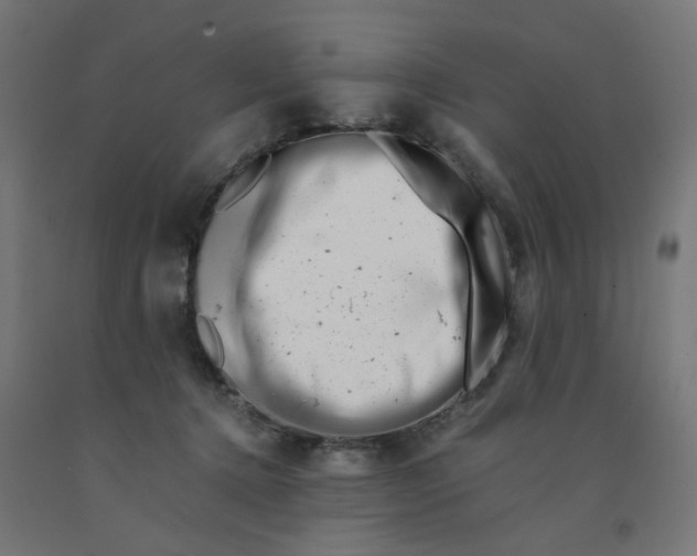 X0000090880368200708241945