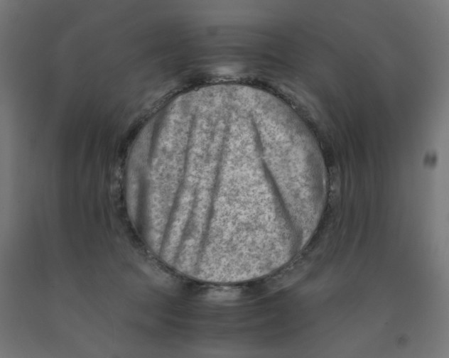 X0000090880369200708241945