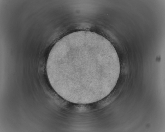 X0000090880370200708241945