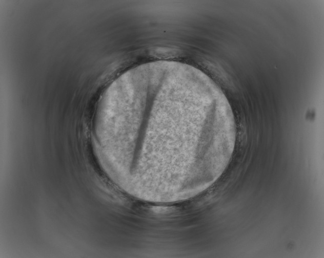 X0000090880371200708241945