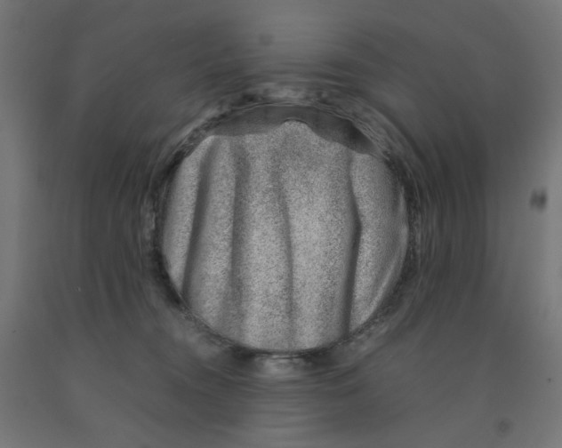 X0000090880372200708241945