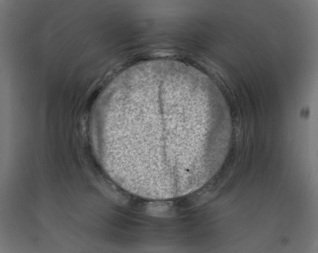 X0000090880373200708241945