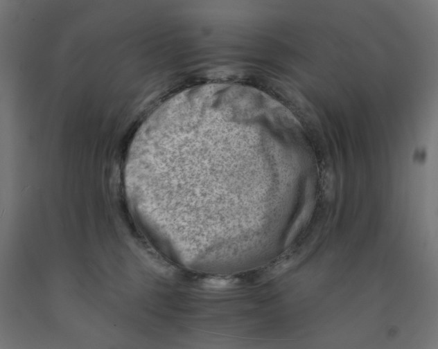 X0000090880375200708241945