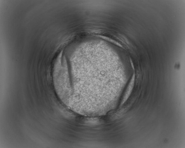 X0000090880377200708241945