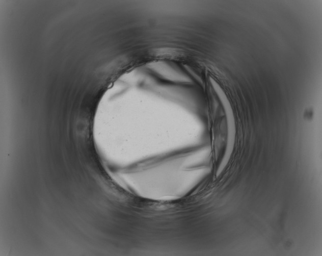 X0000090880379200708241945