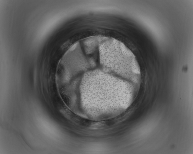 X0000090880382200708241945