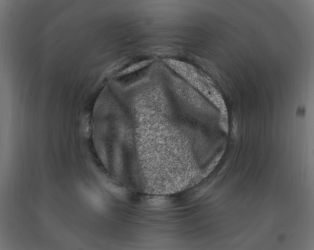 X0000090880383200708241945