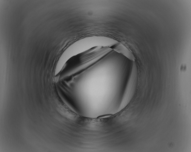 X0000090880384200708241945