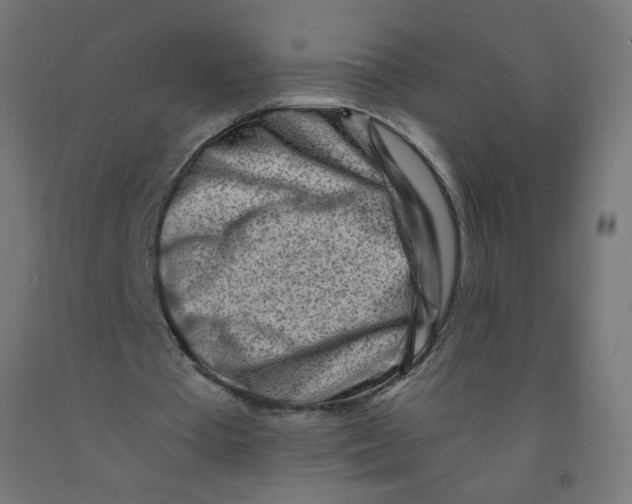 X0000090880385200708241945