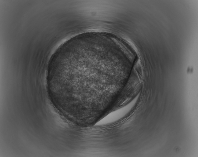 X0000090880387200708241945