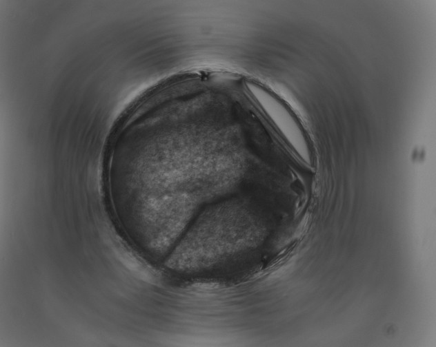 X0000090880391200708241945