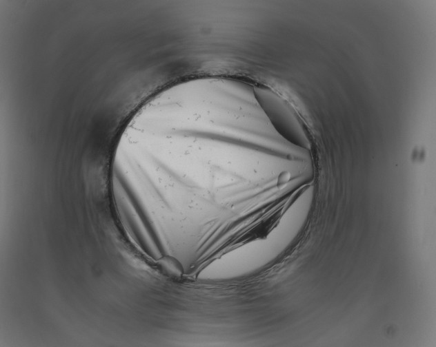 X0000090880393200708241945