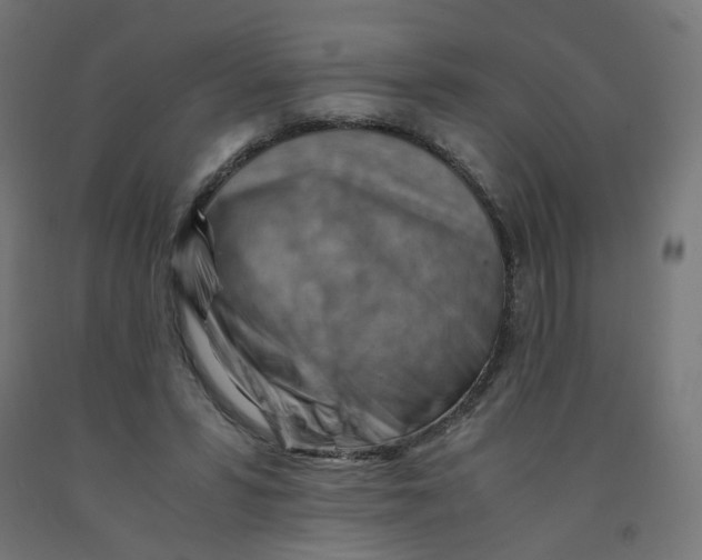 X0000090880399200708241945