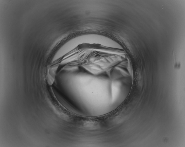 X0000090880400200708241945